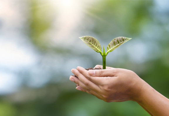 コロナの助成金支援