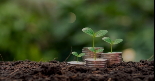 補助金サービス