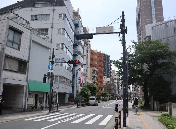 東京藝大前横断歩道
